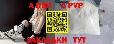 стаф Донской