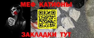 шишки Дубна