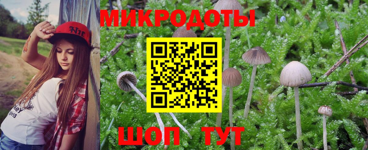 Галлюциногенные грибы Cubensis Мирный