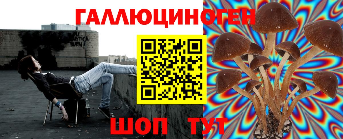 Мирный  Галлюциногенные грибы Psilocybe  Вход с VPN 